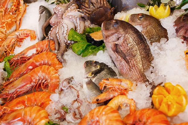 Les machines à glace de pêche favorisent le développement de l'industrie des fruits de mer