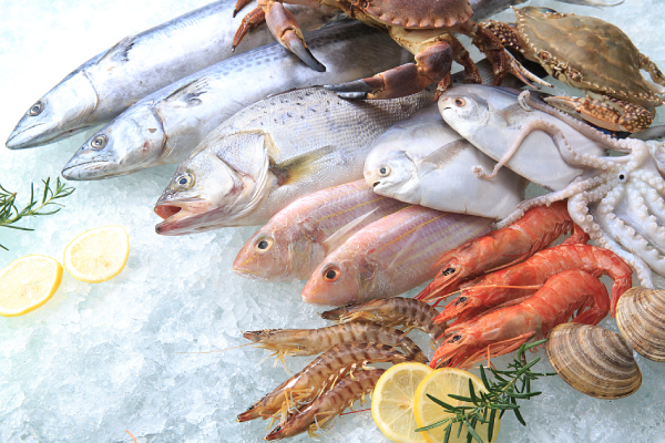 Glace en flocons pour les produits aquatiques