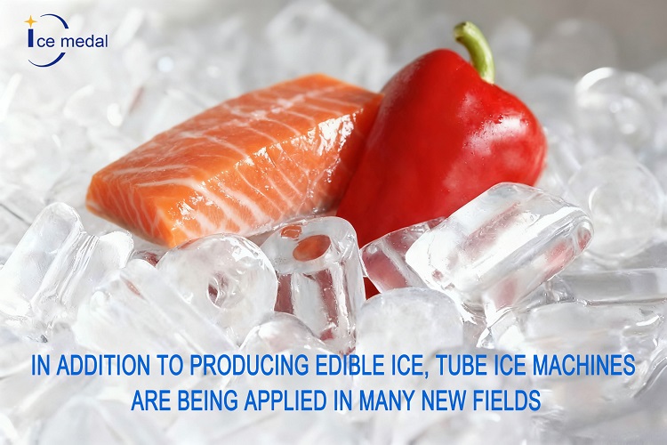 En plus de produire de la glace comestible, des machines de glace à tube sont appliquées dans de nombreux nouveaux champs