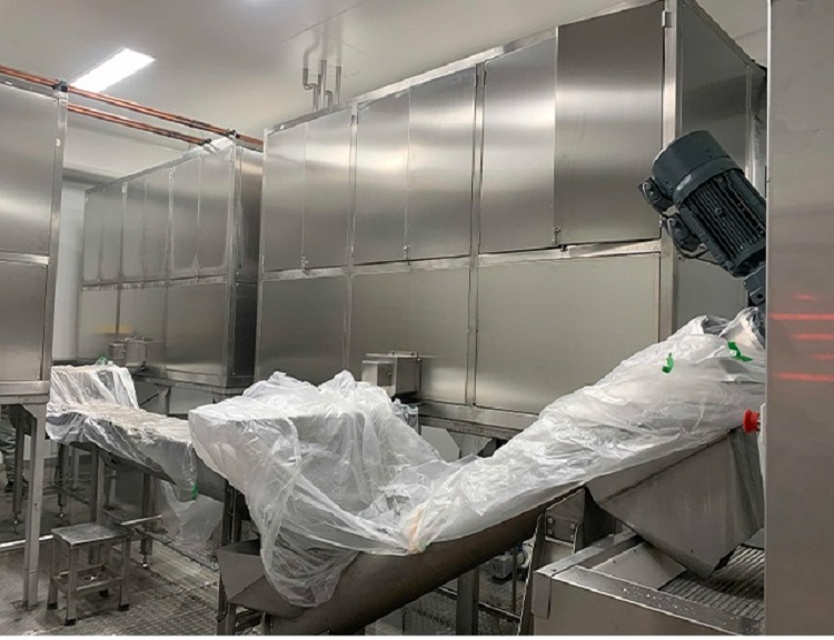 ligne de production de glace comestible