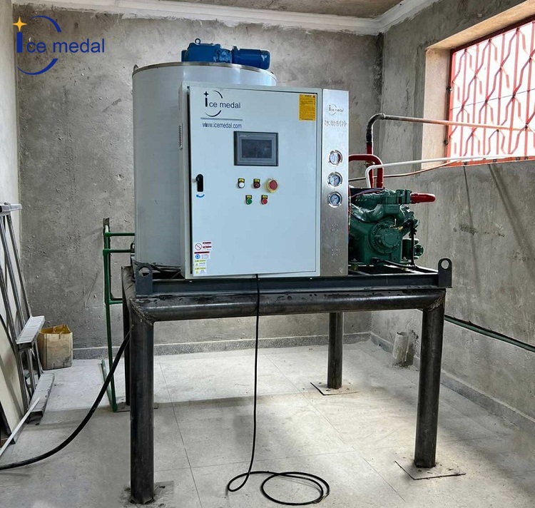 Machine &agrave; glace en &eacute;cailles &agrave; refroidissement par air de 5 tonnes dans une p&ecirc;cherie en Tanzanie