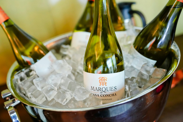 Cube Ice pour boissons