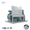 Machine à glace en tube Icemedal IMT20 20 tonnes par jour à vendre Philippines