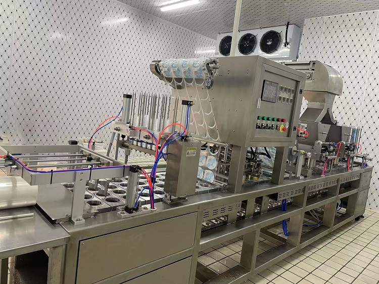 Cas de la ligne de production de la tasse de glace