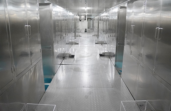 Plant de glace comestible de 100 tonnes
