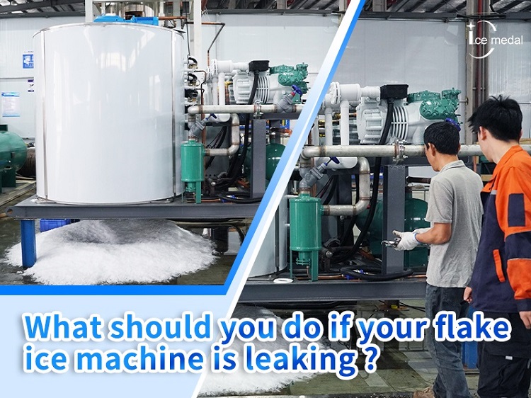 Que devriez-vous faire si votre machine à glace en flocons fuit