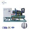 IMB20 20 tonnes par jour Machine de glace de bloc d'eau salée personnalisée industrielle