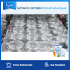 Chaîne de production complètement automatique de glace de cube avec le système d'emballage pour l'usine de glace