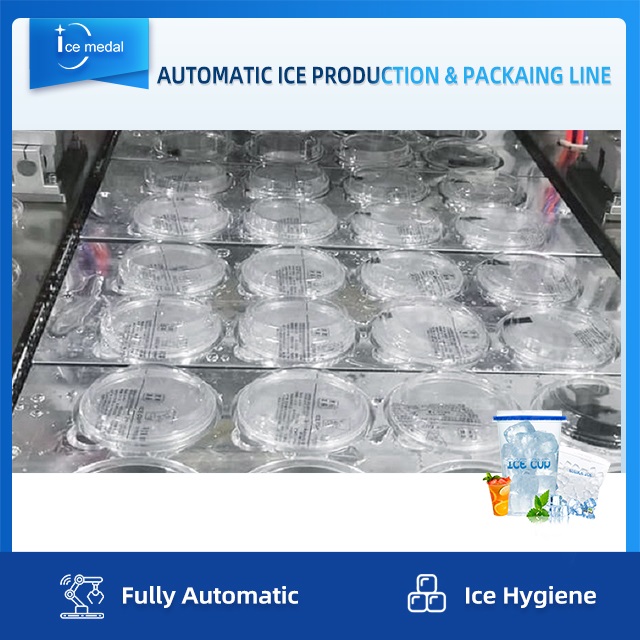 Chaîne de production complètement automatique de glace de cube avec le système d'emballage pour l'usine de glace