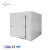 Icemedal Walk in Freezer 20ft Conteneur Chambre Froide Conteneur Chambre Froide à Vendre