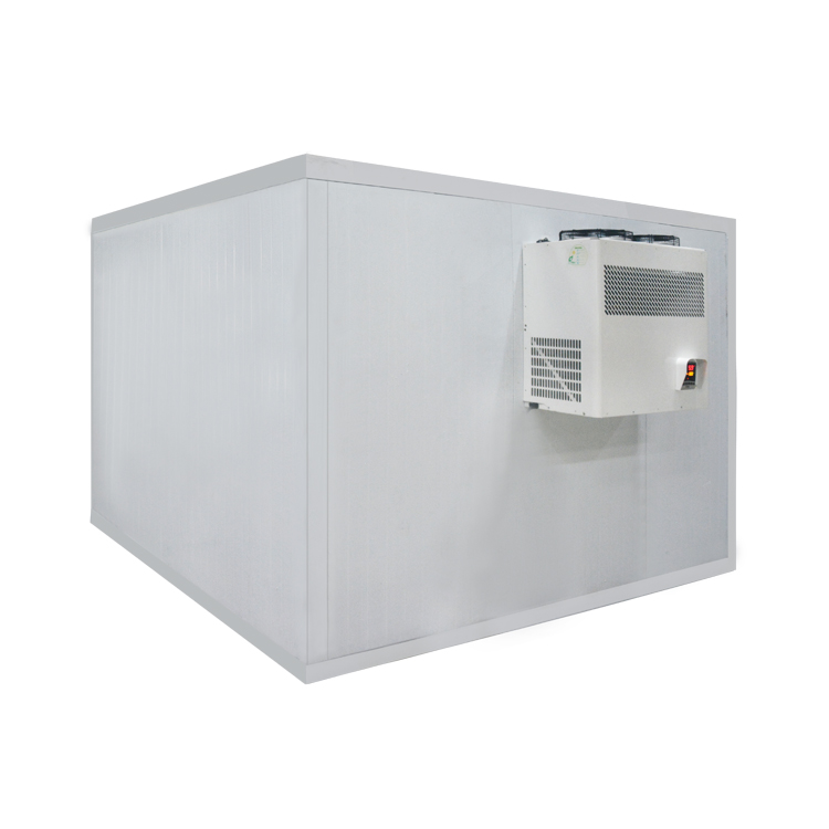 Icemedal Congélateurs et chambres froides à démontage facile personnalisés Unité de réfrigération pour chambre froide