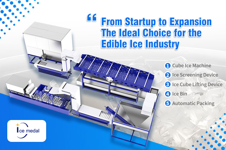 automatic ice cube making plant.jpg