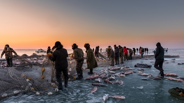 machine à glace en écailles pour la pêche