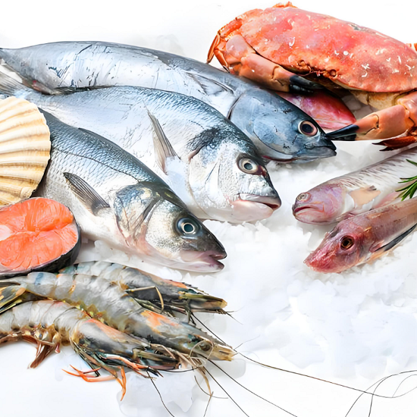 Comment conserver la fraîcheur des produits aquatiques