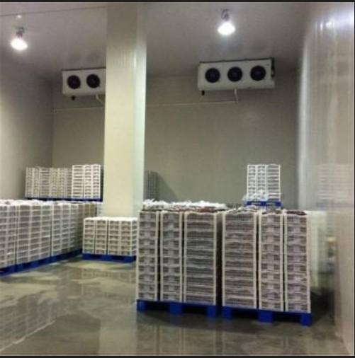 stockage au froid d'une tasse de glace