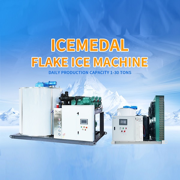 Problème courant et entretien de la machine à glace en écailles