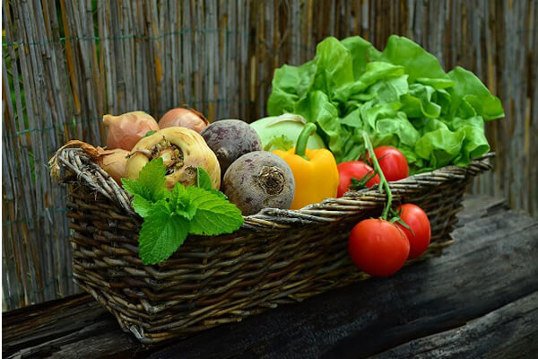 Ice cube pour la transformation des aliments