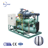 IMB20 20 tonnes par jour Machine de glace de bloc d'eau salée personnalisée industrielle