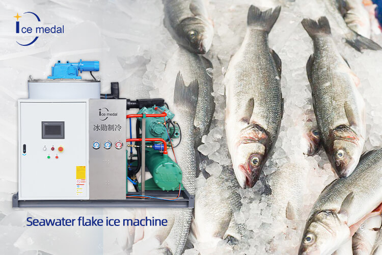 &eacute;quipement de fabrication de glace aux fruits de mer.jpg