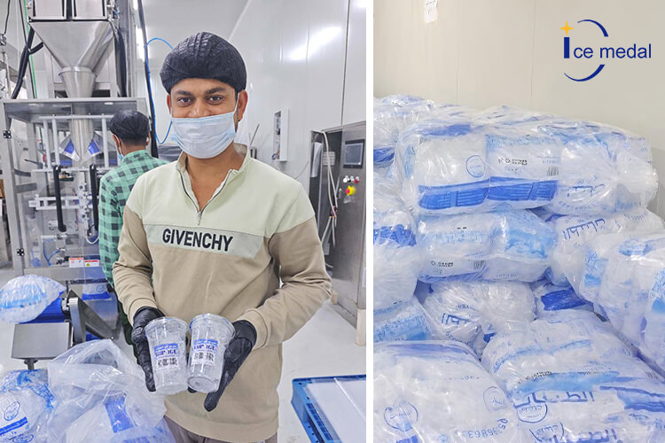 Usine de gobelets &agrave; glace en tubes comestibles de 30 tonnes en Arabie Saoudite.jpg